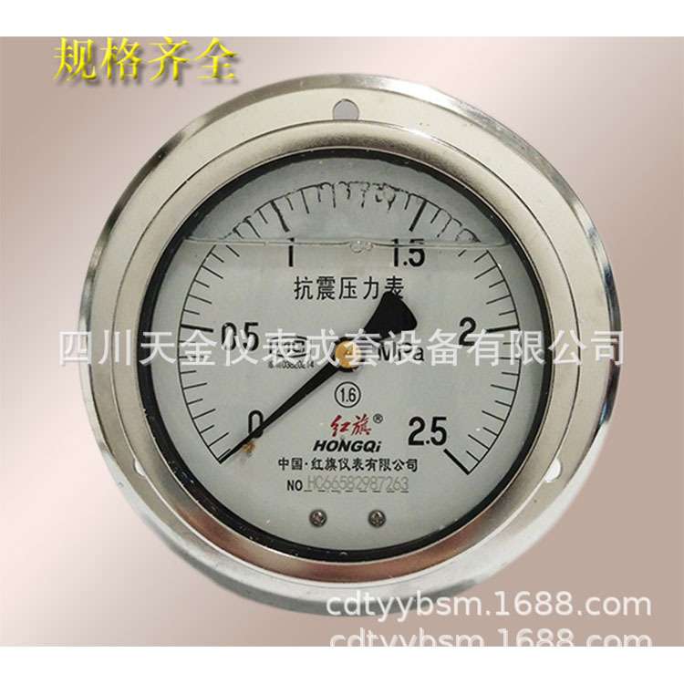 红旗轴向带边耐震压力表YN-100ZT充油防震水油压表0-1 1.6 2.5mpa