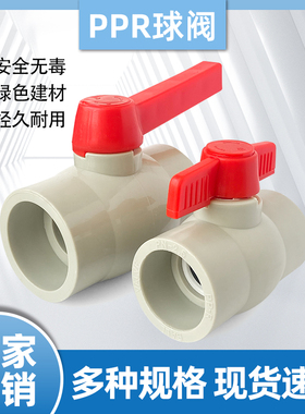 灰色PPR水管球阀热熔阀门开关闸阀DN32405063MM4分自来水管阀2寸