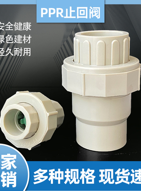 PPR灰色热熔止回阀单向阀返水阀DN2324063自来水管逆止流阀4分1寸