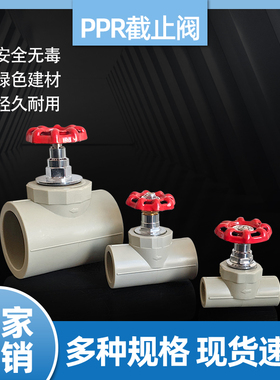 灰色PPR截止阀DN324050637590MM热熔水管闸阀门开关4分6分2寸水阀