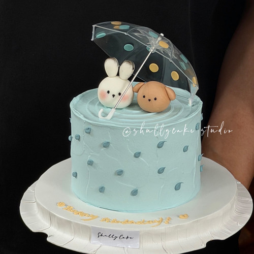 浪漫雨天可爱生日蛋糕装饰