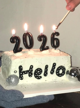 爆款新年跨年元旦Hello 2026主题蛋糕装饰黑色数字蜡烛氛围感插件
