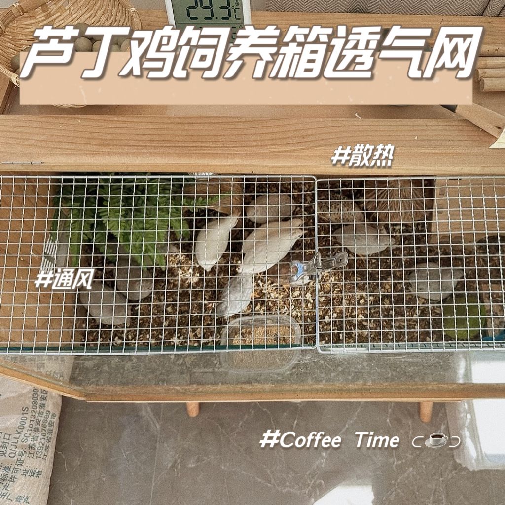 夏天透气铁网芦丁鸡保温箱透气铁网通风门窗芦丁鸡养殖箱散热网