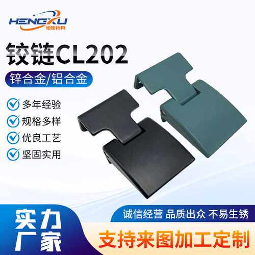 CL202亮铰链 电柜锁机柜锁具电器柜机械铰链CL202柜子锁