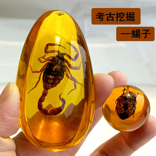 儿童考古挖掘玩具化石标本琥珀昆虫精灵盲盒男女孩手工寻宝挖蝎子
