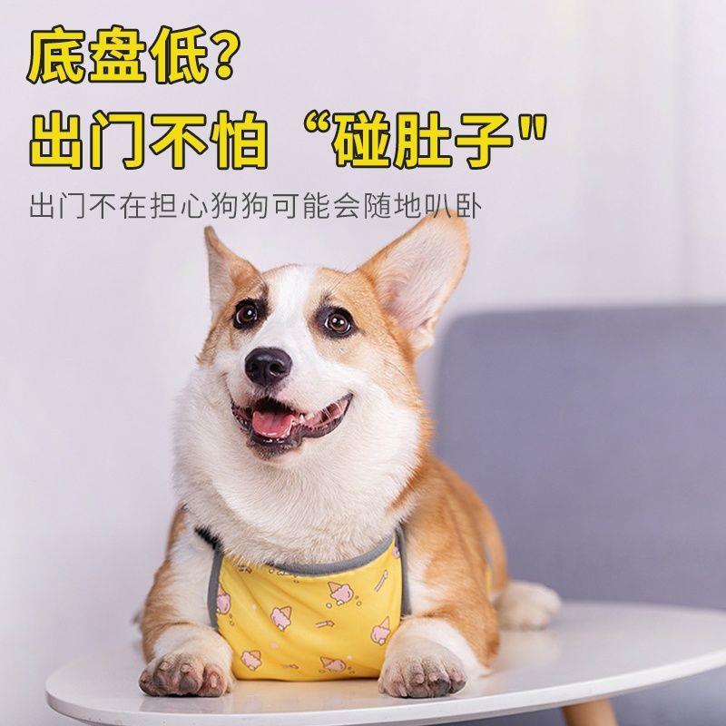 宠物肚兜护肚子衣服狗狗防水雨衣雨披保暖柯基专用防脏秋季防着凉