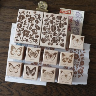 两只浣熊|moonlight《蝶隐花绚》打底蝴蝶牵牛花草莓手账印章图