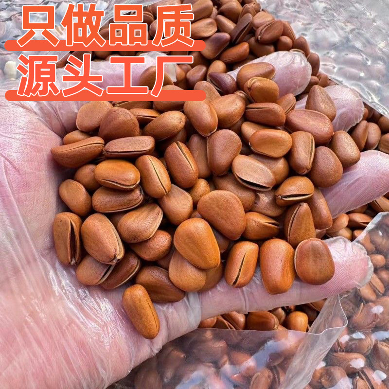 东北大松子原味手剥特产25年新货新鲜开口坚果薄皮熟干果新年货