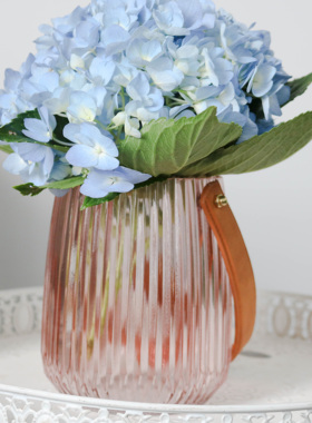 ins高颜值提手玻璃花瓶北欧风家居花瓶装饰品摆件摆野* 兽派同款