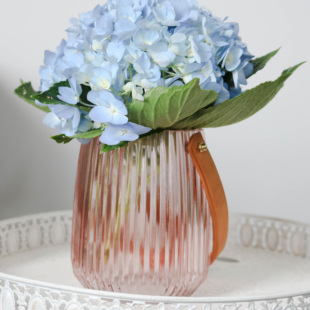 ins高颜值提手玻璃花瓶北欧风家居花瓶装饰品摆件摆野* 兽派同款