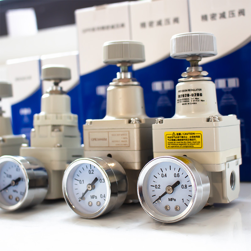 IR2020/1000/1020精密减压阀