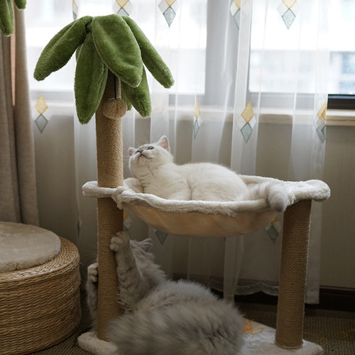 椰子树猫爬架猫抓柱剑麻