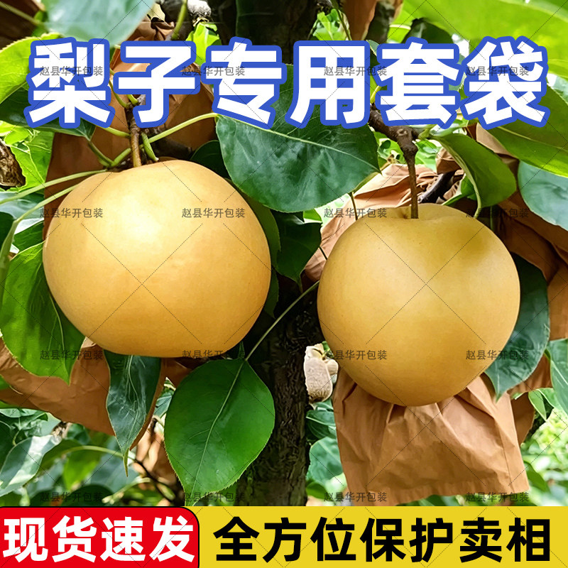 梨子专用套袋皇冠雪梨鸭梨袋防水防晒防虫防鸟水果保护袋秋月梨袋