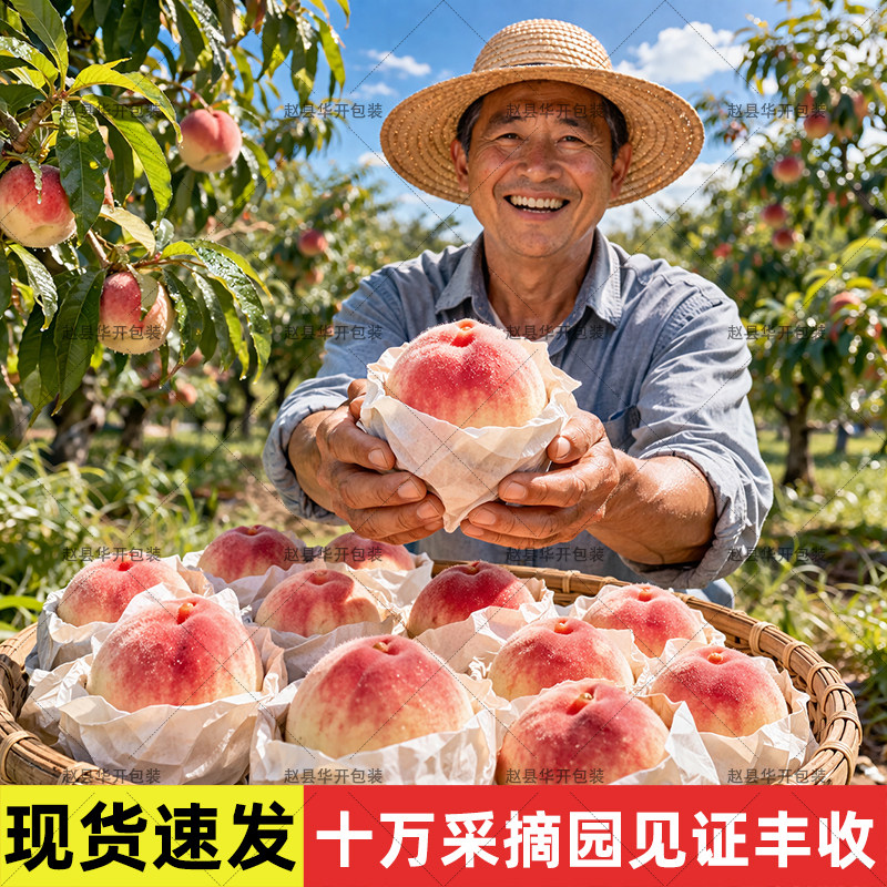 桃子专用套袋水蜜油桃蟠桃黄桃双层防水防晒防鸟虫水果保护袋桃袋