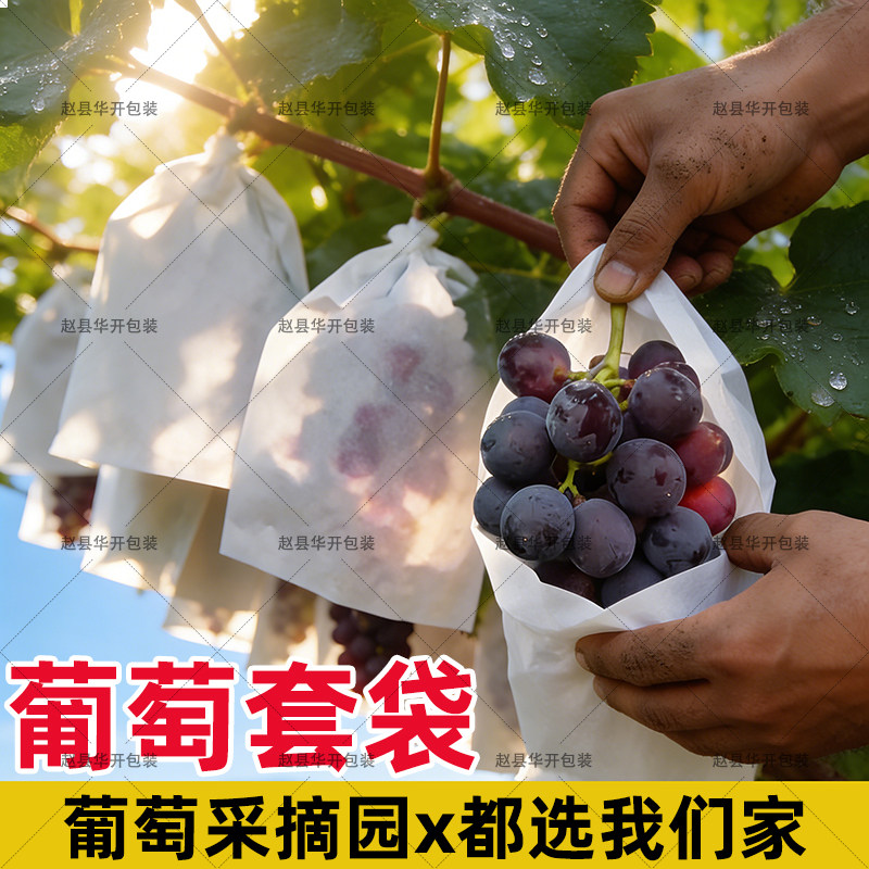 葡萄专用套袋防虫防鸟水果保护袋阳光玫瑰巨峰夏黑育果袋厂家批发