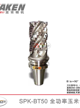 台湾AKEN亚肯SPK-BT50-1250/63/80 可转换大功率开粗玉米端铣刀柄
