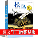 曹文轩正版 根鸟 12岁 三四五六年级小学生课外阅读儿童文学小说草房子青铜葵花同系中国儿童文学教辅 纯美小说系列全完整版