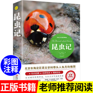 昆虫记正版法布尔原著完整版全集小学生三四年级下册必读课外书朱月玲推荐导读彩图美绘版人民儿童文学阅读书籍老师江西美术出版设
