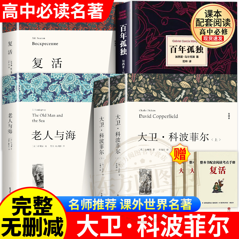 高一必读课外书大卫科波菲尔复活老人与海乡土中国红楼梦百年孤独高中必读名著新语文必读课外书推荐世界十大名著全套正版原著套装
