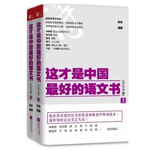 这才是中国最好 上下两册 叶开著诗歌分册文学教材中学语文教辅学生用书文学书籍诗歌语文教师阅读 语文书诗歌分册