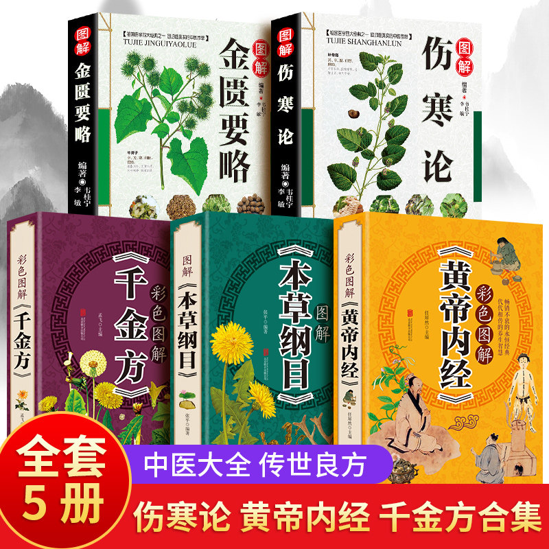 伤寒论张仲景正版大青龙汤桂枝汤本草纲目黄帝内经中医书养生大全伤寒