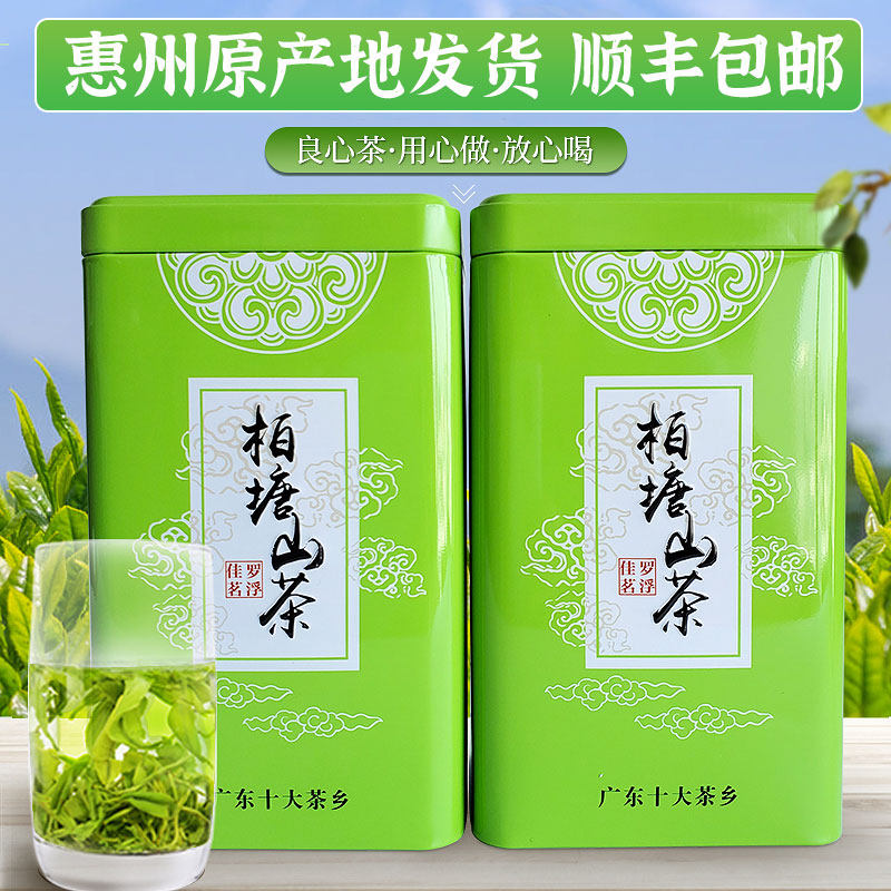[随机送盒]柏塘山茶广东博罗特产客家手工炒青工艺惠州绿茶500g