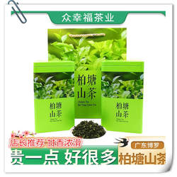 2025柏塘山茶广东博罗春茶浓香型绿茶正宗茶叶500g[随机免费送盒]