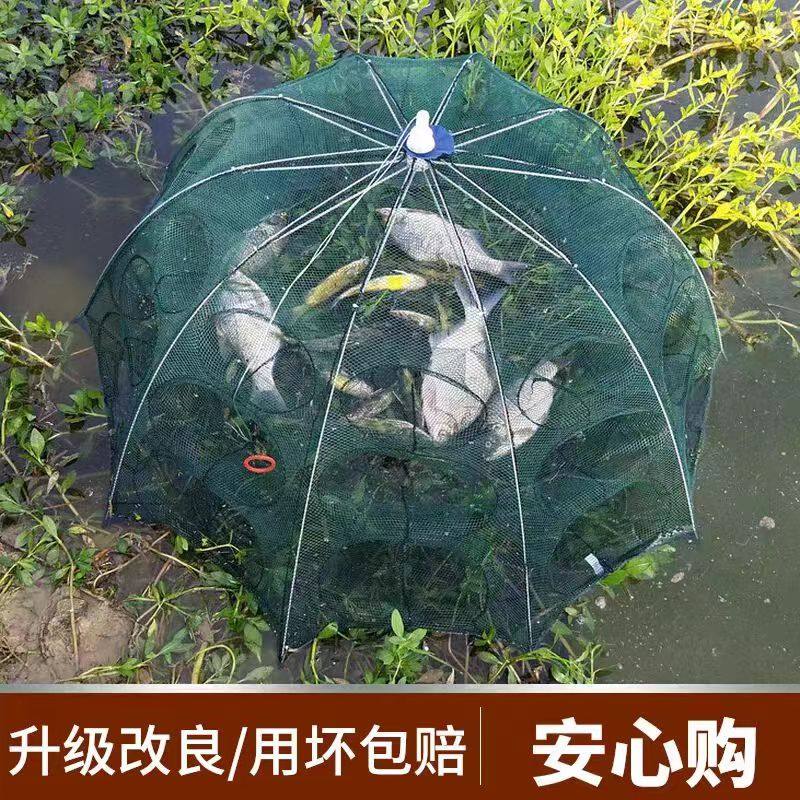 鱼网鱼笼折叠捕鱼神器虾笼黄鳝小鱼渔网只进不出捕虾龙虾网笼伞网