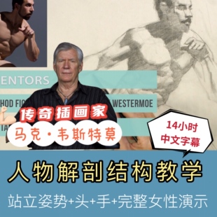 赖利法-人物莱利素描教程人体比例结构基础教程人体解剖
