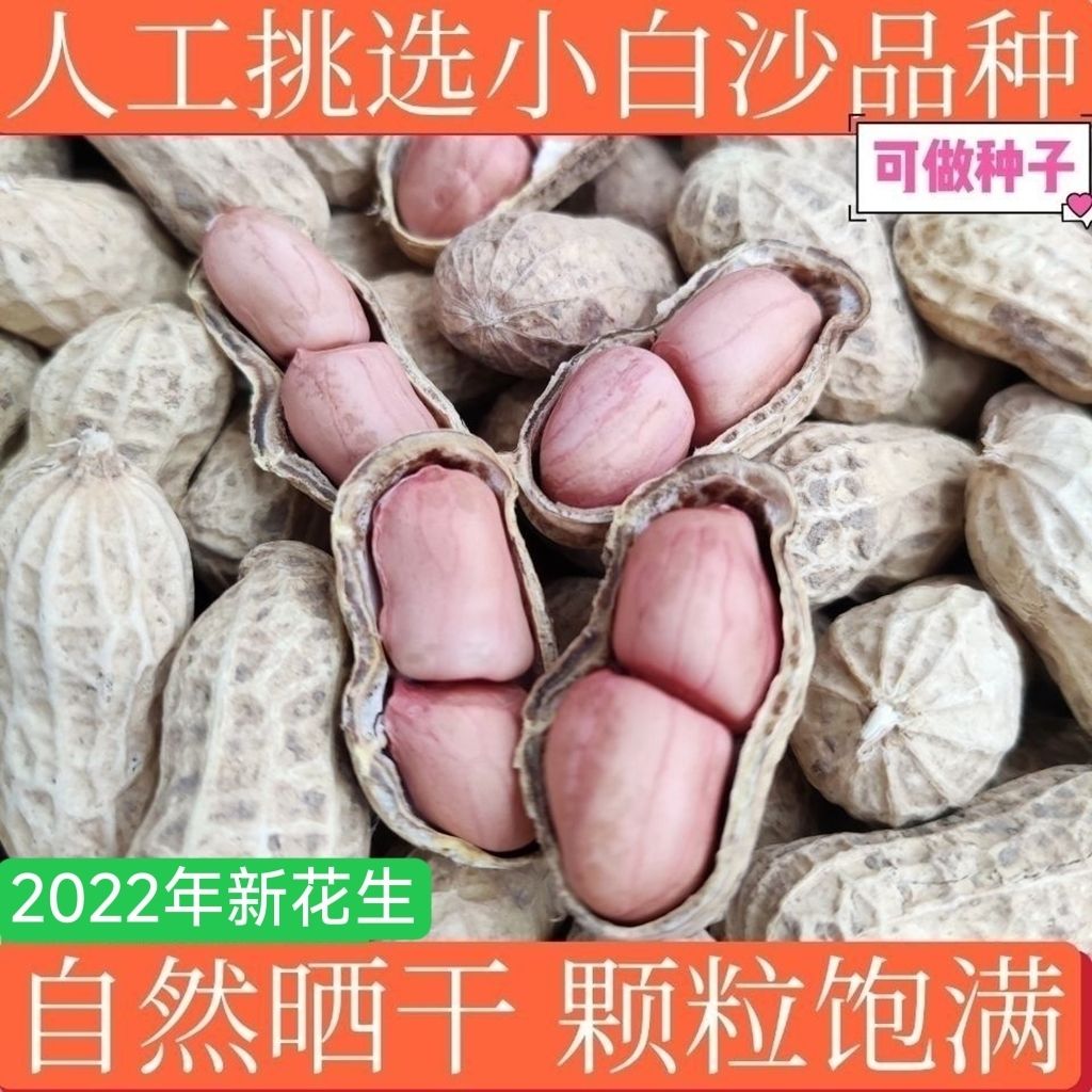 2023新货花生米年新花生米熟花生 带壳生花生可做种子可榨油1-5斤