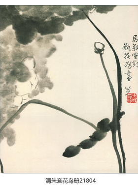 清朱耷花鸟册八大山人花鸟画卷轴