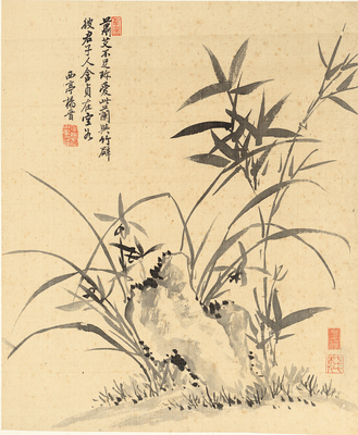 杨晋花鸟册竹石图仿古画复制名人字画名家书画花鸟画国画装饰画