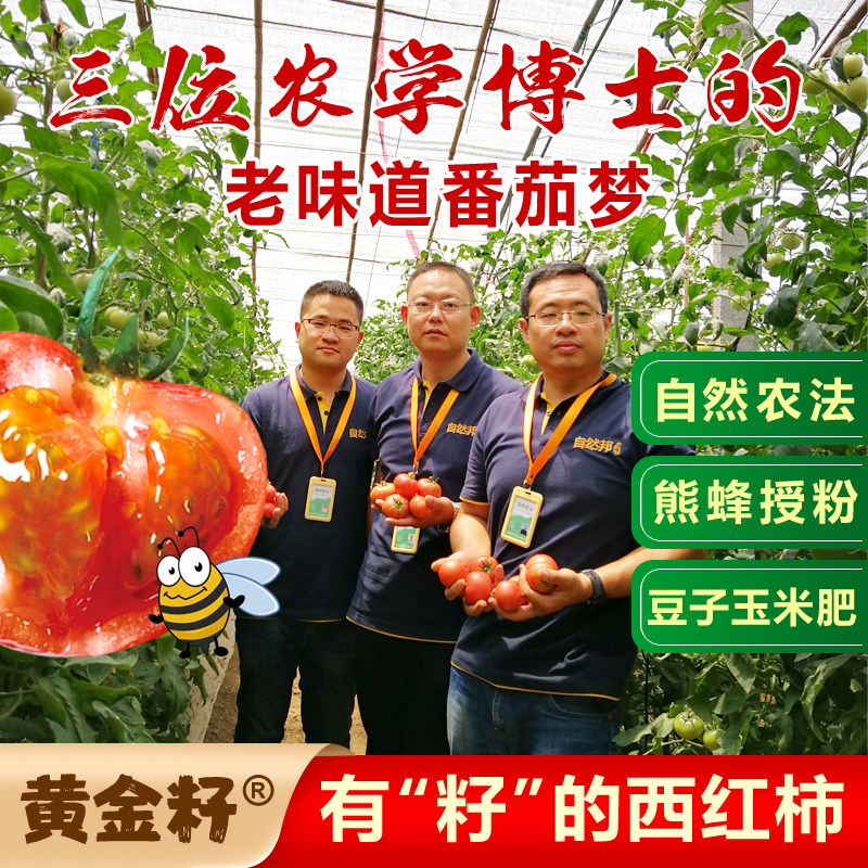 5斤新鲜黄金籽西红柿熊蜂柿子自然熟生食非铁皮番茄孕妇食用水果