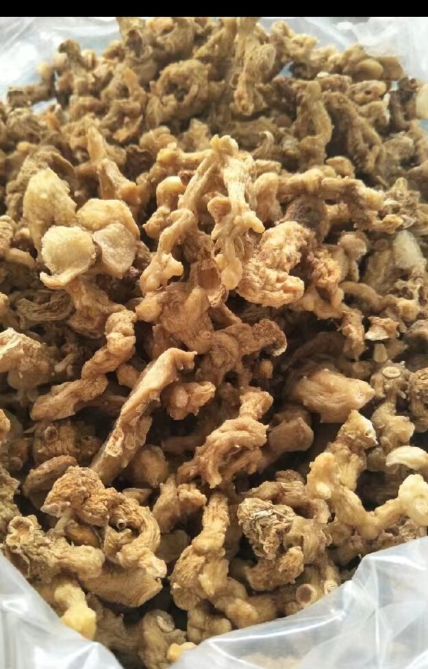 四川深山现挖新鲜黄精自然晒干野生黄精纯天然黄精干货无硫正品