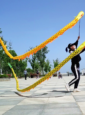 健身甩龙甩彩带舞龙手甩龙中老年广场健身伸缩杆甩彩龙杆空竹龙
