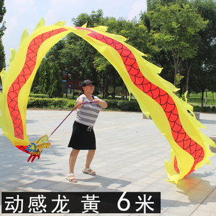 舞龙广场健身龙耍龙运动甩彩带舞龙头初学中老年节目器材健身道具