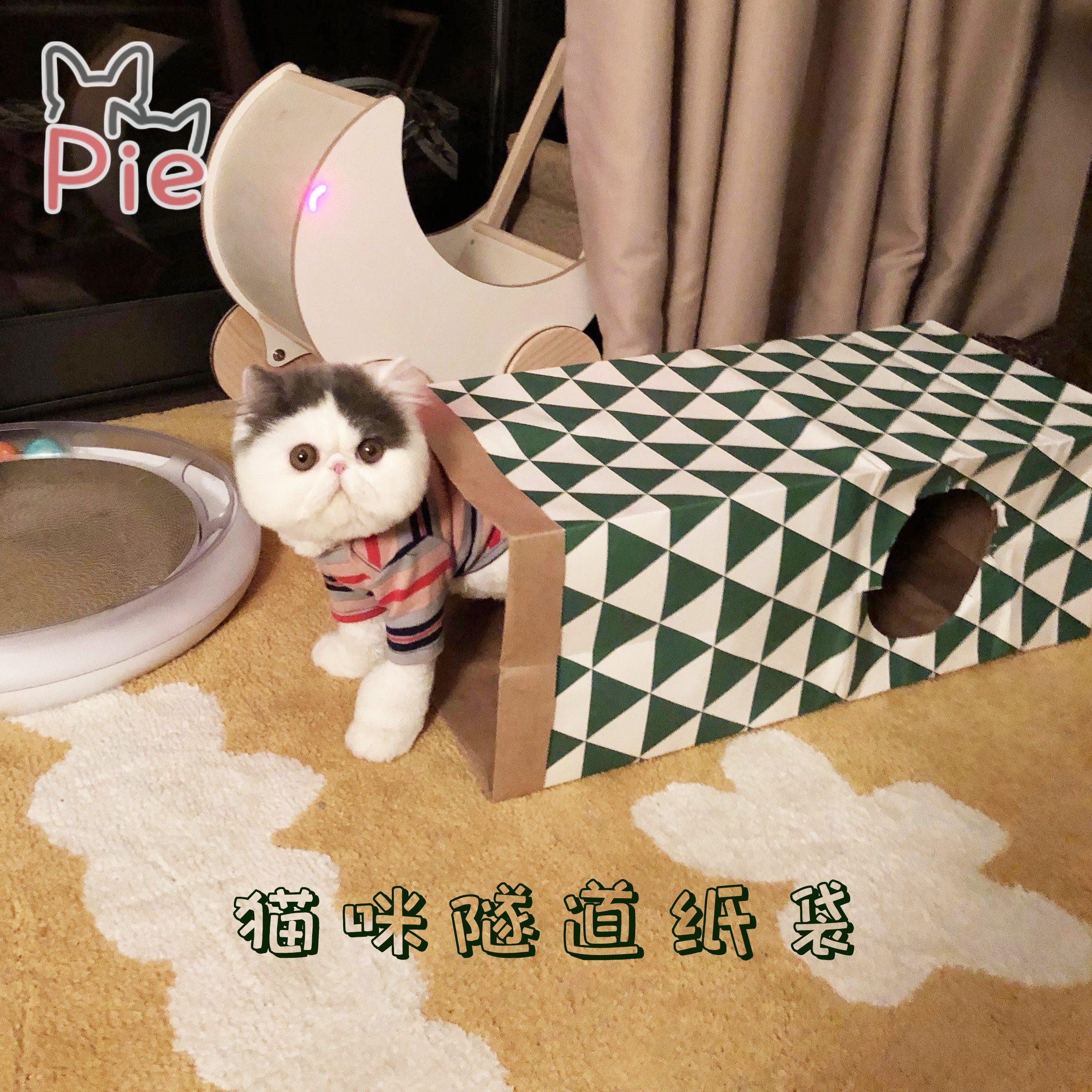 梁老财双层加厚牛皮纸袋猫隧道通道猫咪绿色水洗纸质玩具娱乐用品