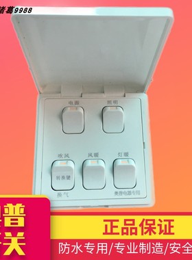 奥普浴霸正品原装5开翻盖防水灯暖风暖开关16A 1021A\B\C开关五开