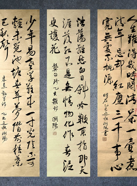 行书草书书法作品定制参赛代手写赵洲阳老师创作临帖考级软笔专业