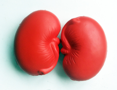 8.6CMPU肾脏压力球玩具