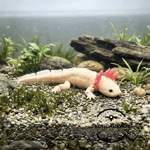 DIY定制-Axolotl 六角恐龙 美西钝口螈 仿生科教模型全关节可动