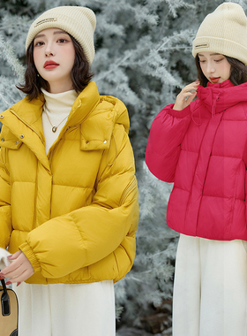 冬季ERAL艾莱依短款连帽羽绒服女宽松加厚保暖时尚潮流面包服外套
