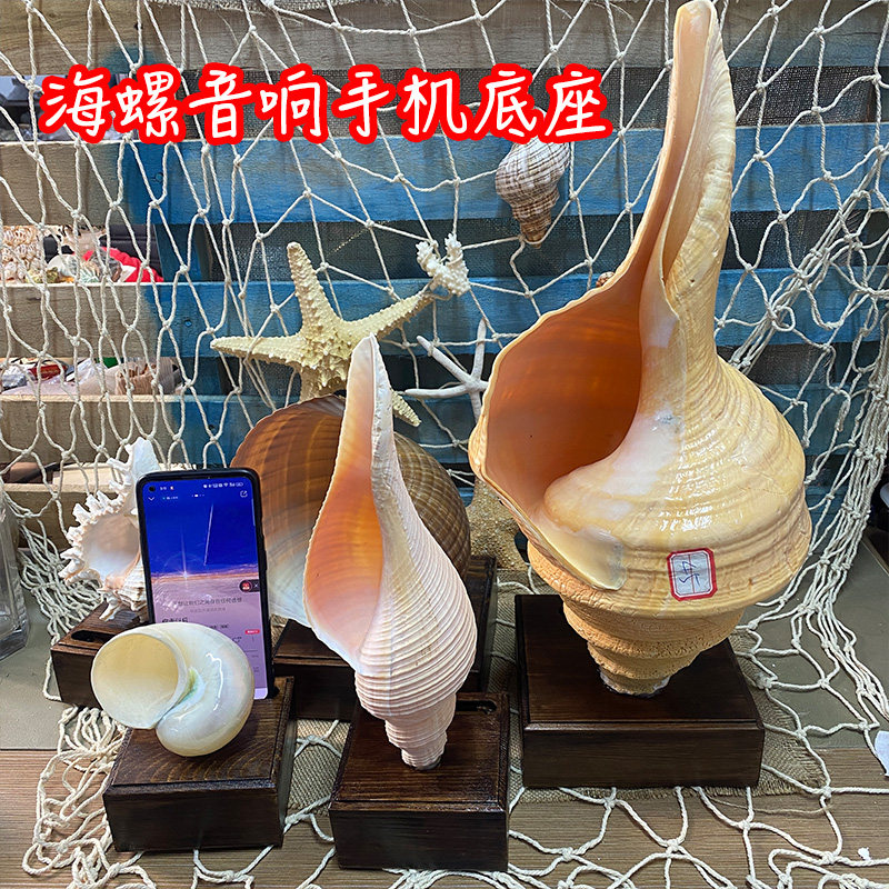 海螺音响手机底座支架海螺贝壳手海螺/贝壳/珊瑚
