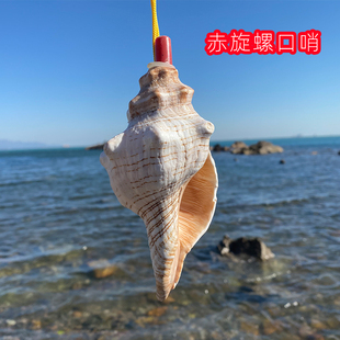 天然海螺贝壳口哨喇叭螺号海螺贝壳工艺品创意礼物儿童玩具螺吹
