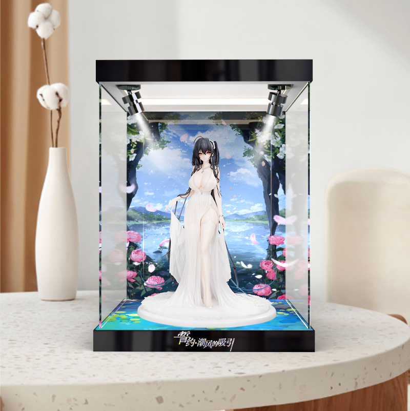 古薇媞展示盒大凤鹩潮风的吸引