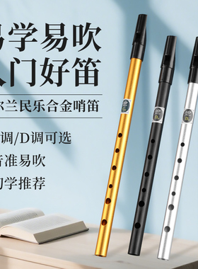爱尔兰哨笛入门初学C调D调专业演奏笛子铝合金竖笛短笛凯尔特笛