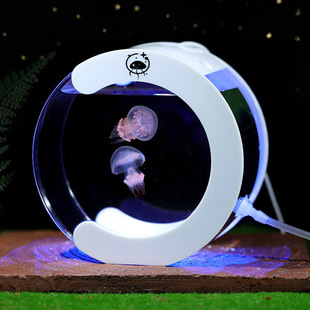 生态鱼缸儿童好养活物宠物专用养殖缸水族赤月水母循环桌面迷你小