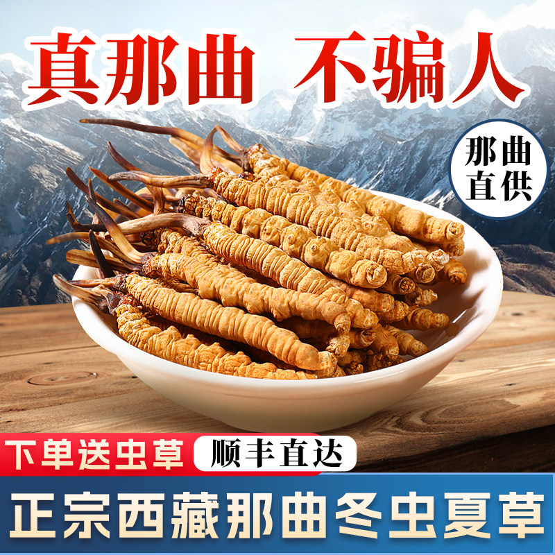 西藏那曲原产冬虫夏草头茬滋补高海拔4根/克10克装礼盒装中秋送礼