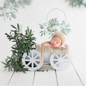 容器合辑 套装 新生儿道具宝宝拍照影楼摄影小飞道具 多款