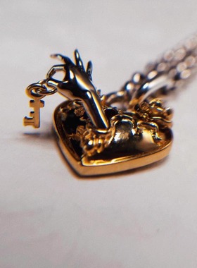 【整栋出租】回春丹鲜花同款小众创意项链摇滚迷好物潮流时尚配饰